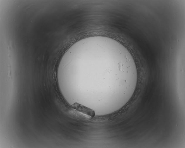 X0000103970601200810311526