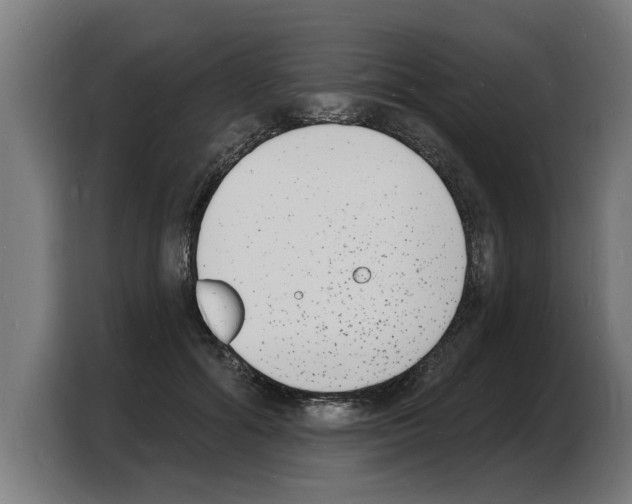 X0000103970602200810311526