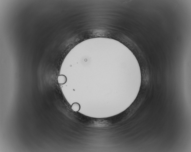 X0000103970603200810311526