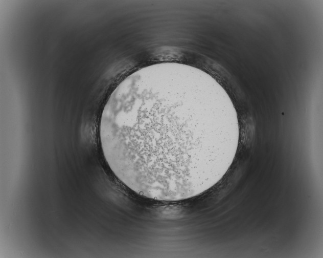 X0000103970604200810311526