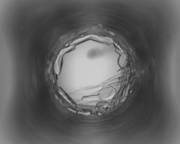 X0000103970605200810311526
