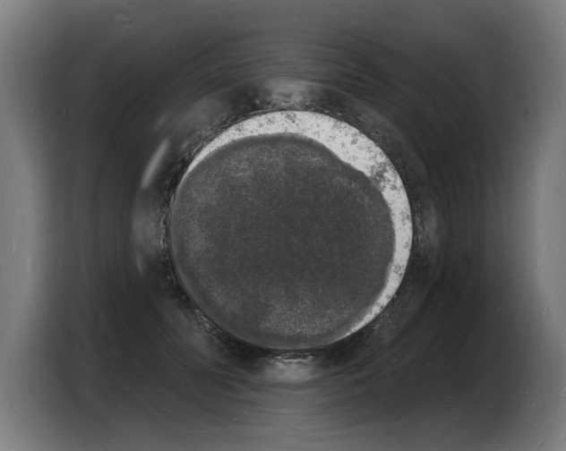 X0000103970606200810311526
