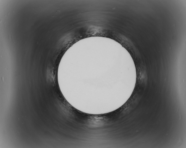 X0000103970607200810311526