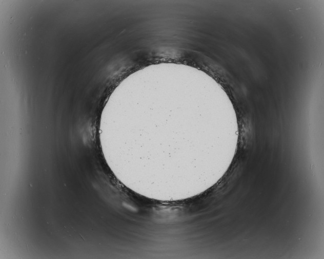 X0000103970608200810311526