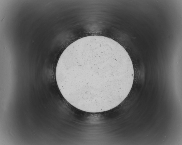 X0000103970609200810311526