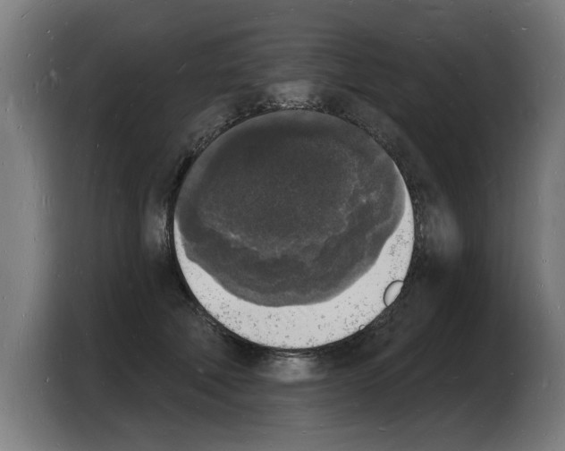 X0000103970610200810311526
