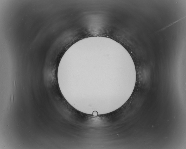 X0000103970611200810311526
