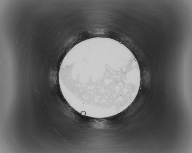 X0000103970612200810311526