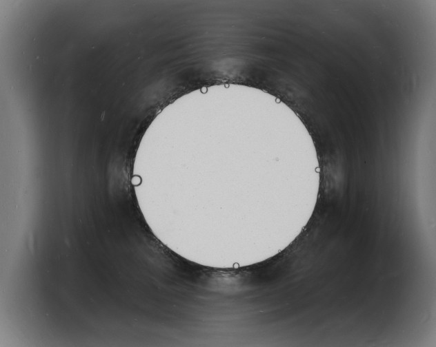 X0000103970613200810311526