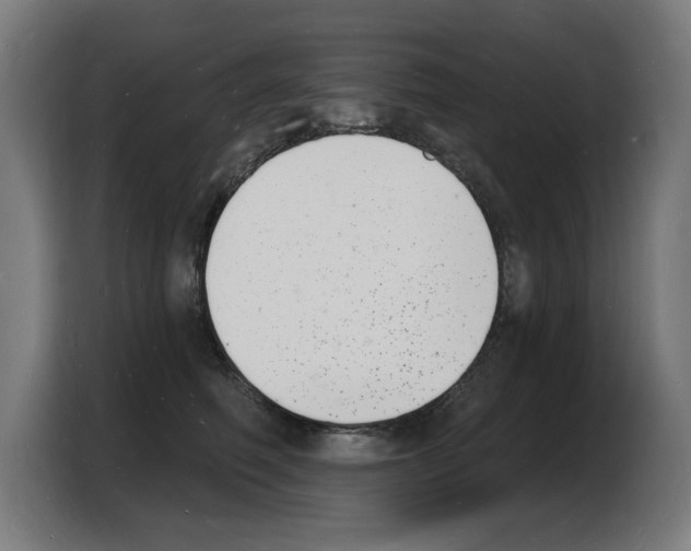 X0000103970614200810311526