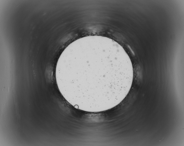 X0000103970615200810311526