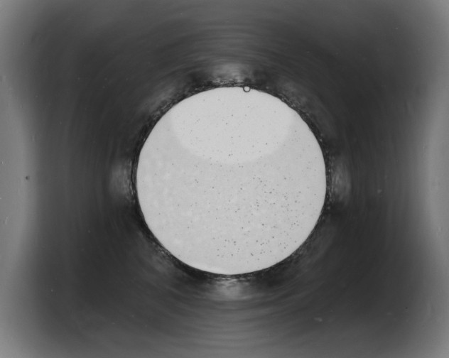 X0000103970616200810311526