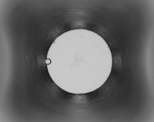 X0000103970617200810311526