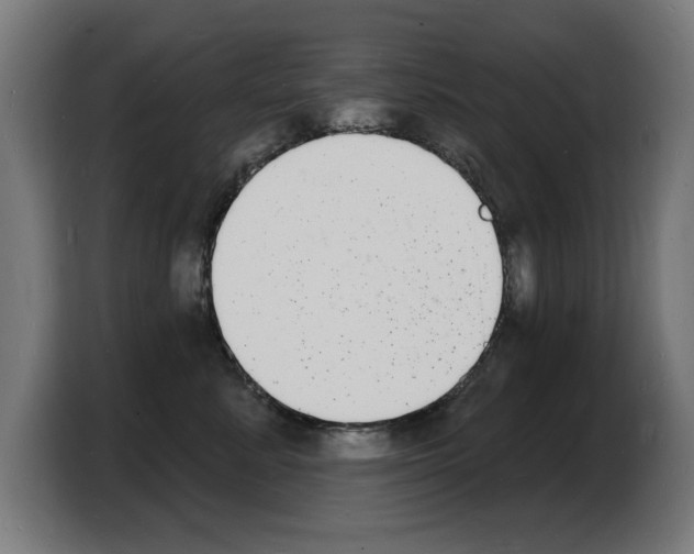 X0000103970619200810311526