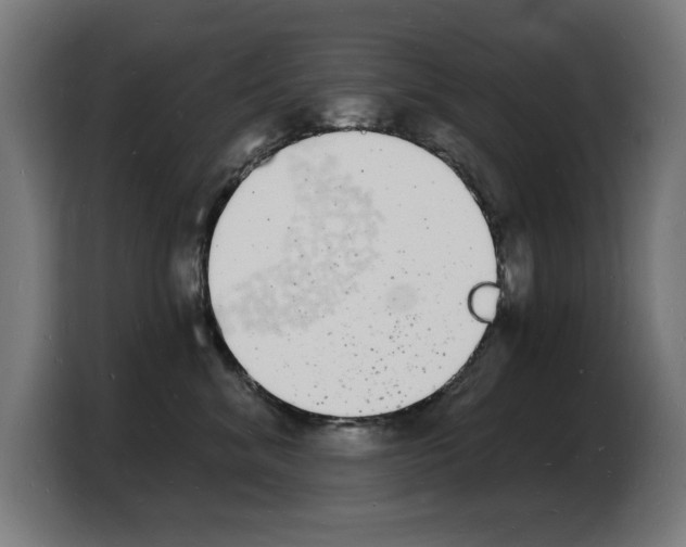 X0000103970620200810311526