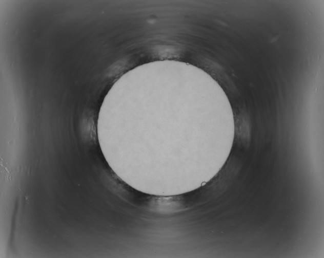 X0000103970622200810311526
