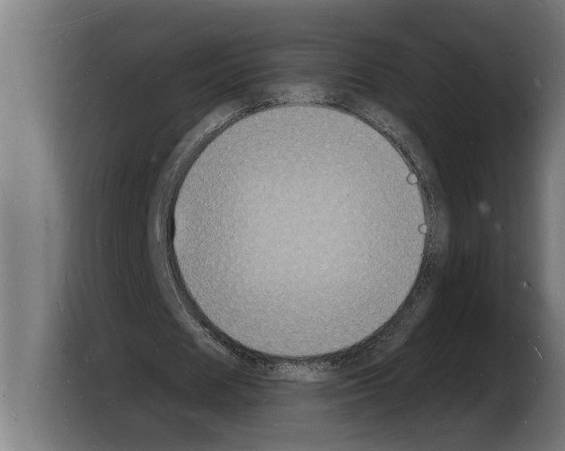 X0000103970625200810311525