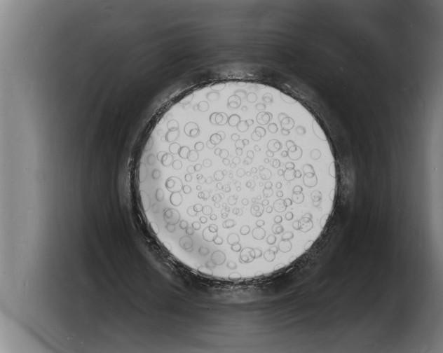 X0000103970626200810311525