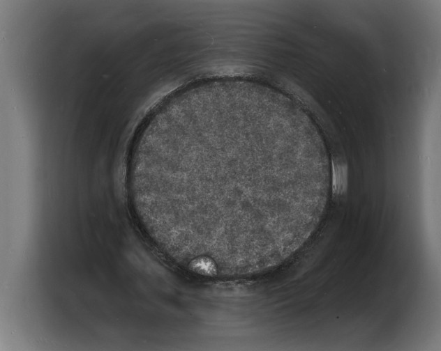 X0000103970627200810311525