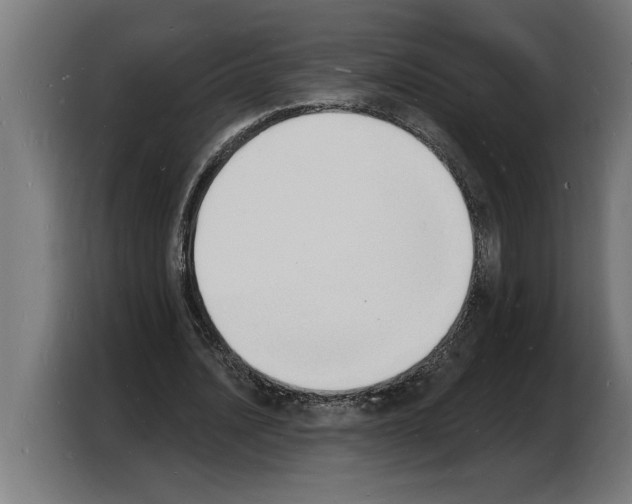X0000103970628200810311525