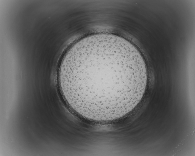 X0000103970629200810311525