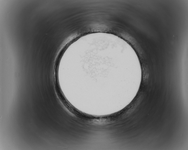 X0000103970630200810311525