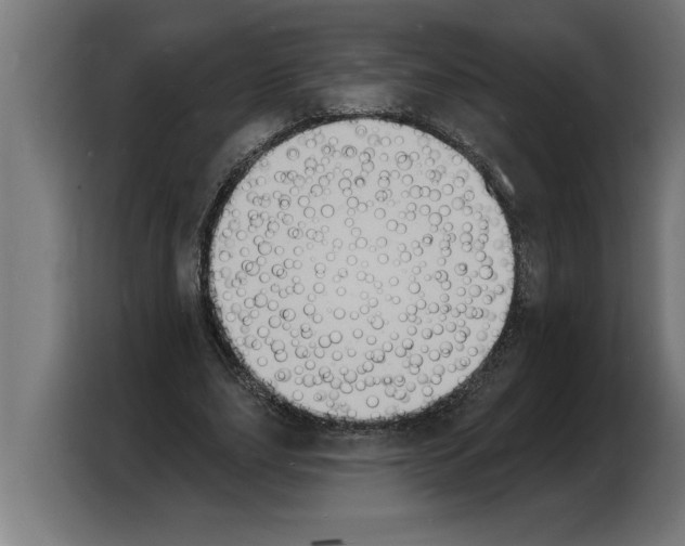X0000103970631200810311525