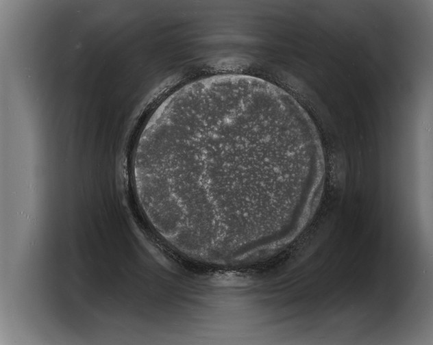 X0000103970634200810311525