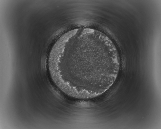 X0000103970637200810311525
