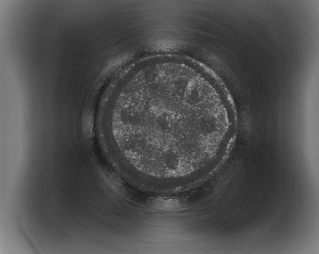 X0000103970640200810311525