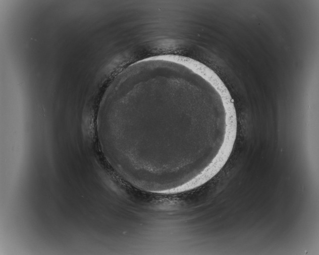 X0000103970642200810311525