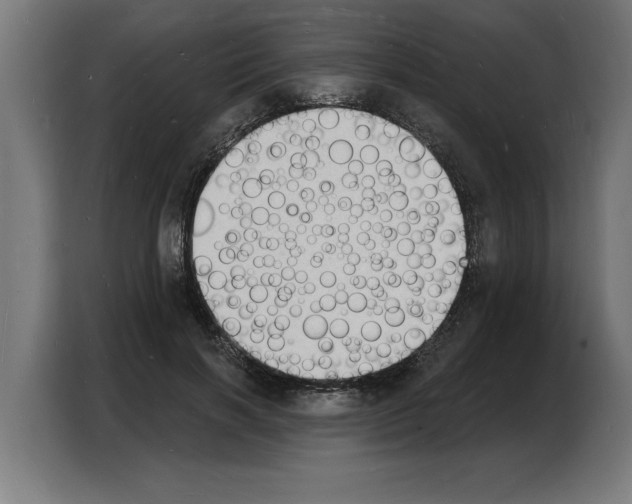 X0000103970646200810311525