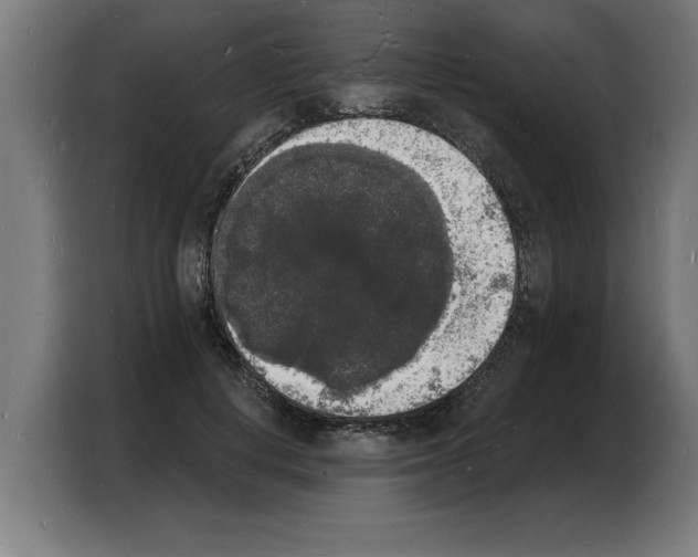 X0000103970648200810311525