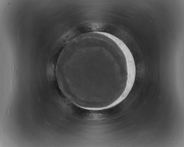 X0000103970650200810311525