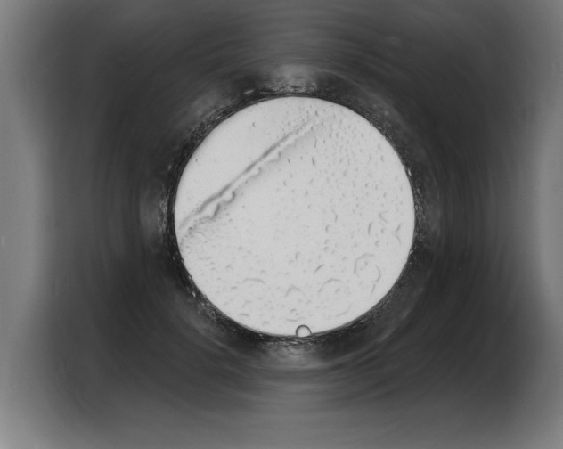 X0000103970652200810311525