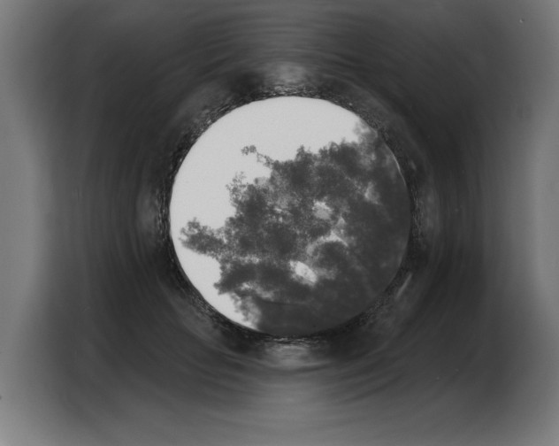 X0000103970653200810311525
