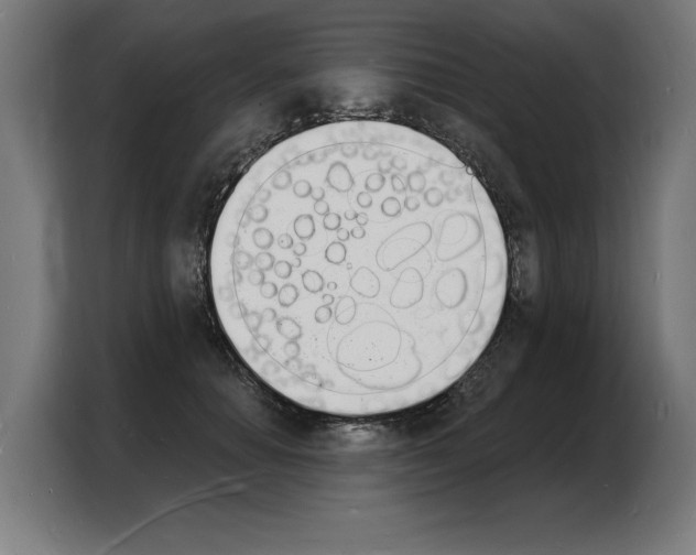 X0000103970654200810311525