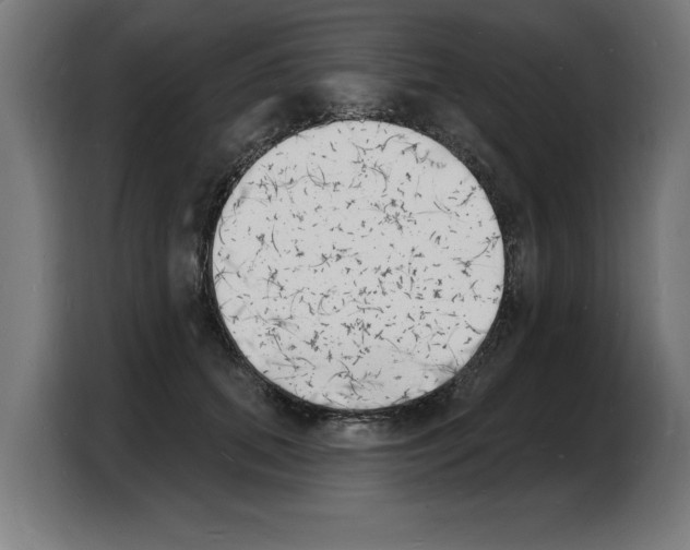 X0000103970655200810311525