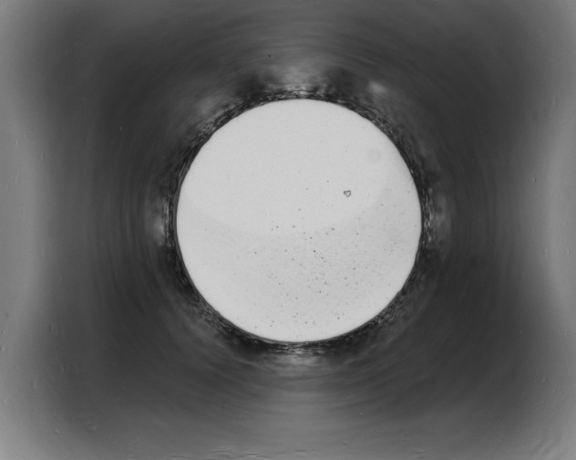 X0000103970656200810311525