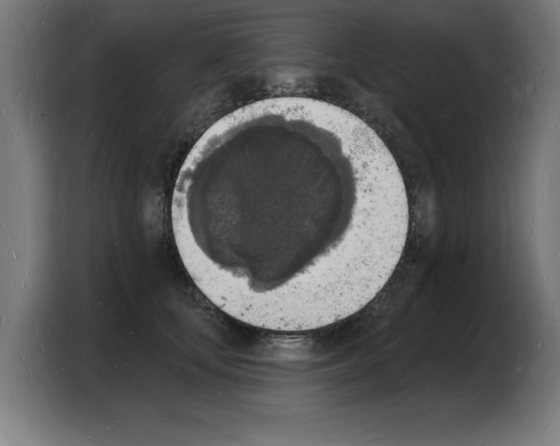 X0000103970659200810311525