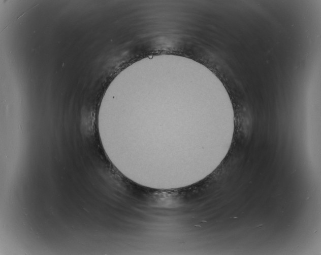 X0000103970660200810311525