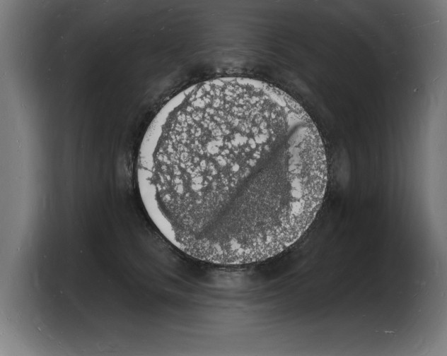 X0000103970661200810311525