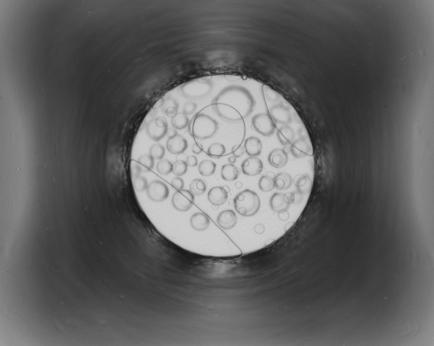 X0000103970662200810311525