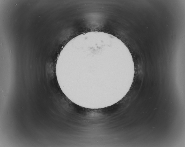 X0000103970664200810311525