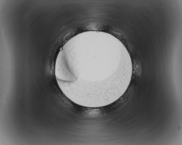 X0000103970665200810311525