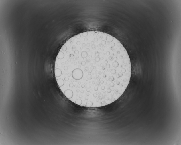 X0000103970666200810311525