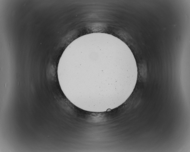 X0000103970667200810311525