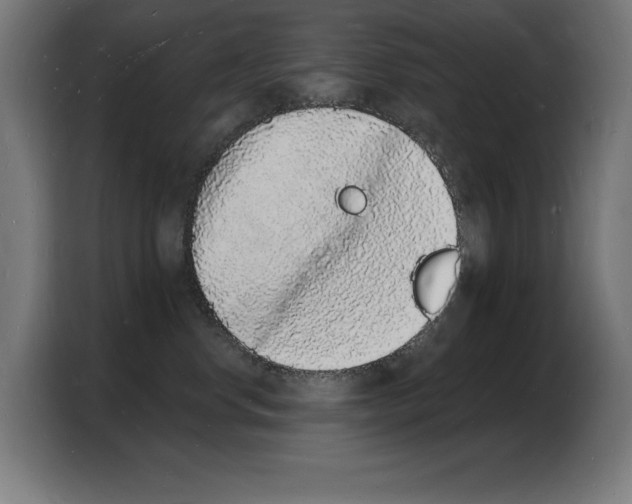 X0000103970668200810311525