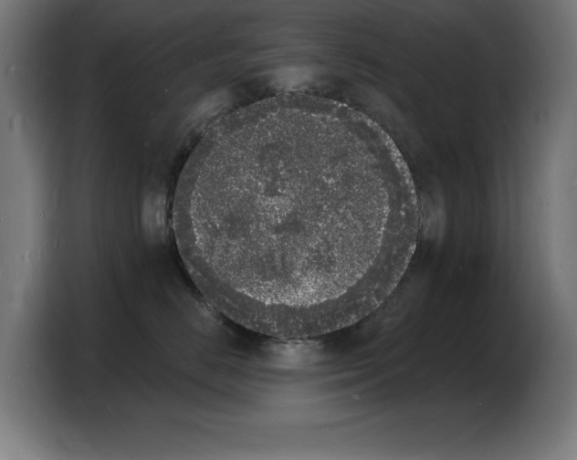X0000103970670200810311525