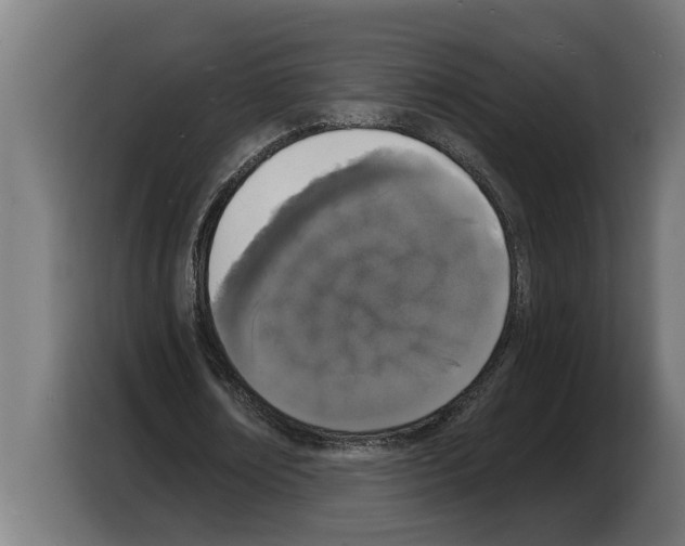 X0000103970674200810311525
